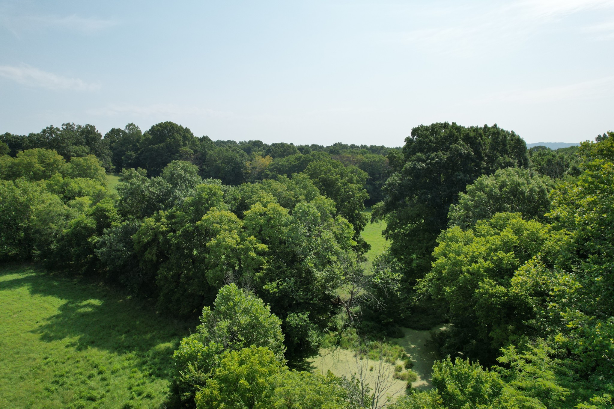 0 Flat Creek Road Spring Hill, TN 37174 - Photo 13 of 26 Gallery Image 13