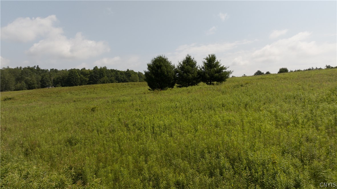137 Windham Road Smithville, NY 13778 - Photo 3 of 20