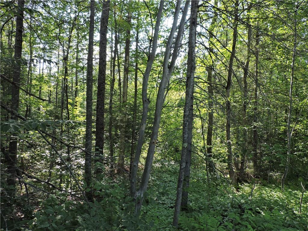 0 Mark Ginn Road Orland, ME 04472 - Photo 2 of 3 Photo