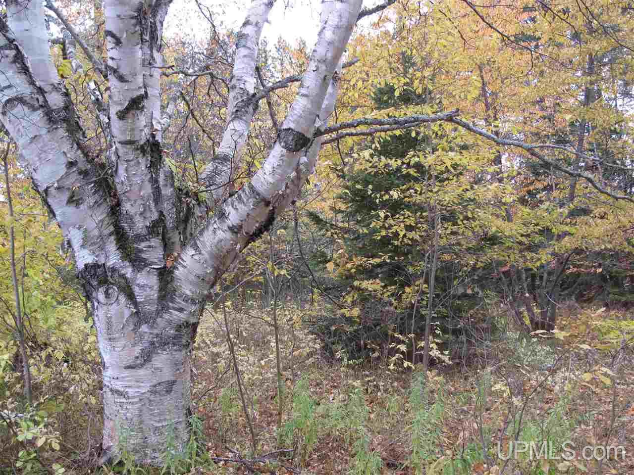 21851 Ridge Road Grand Marais, MI 49839 - Photo 19 of 29