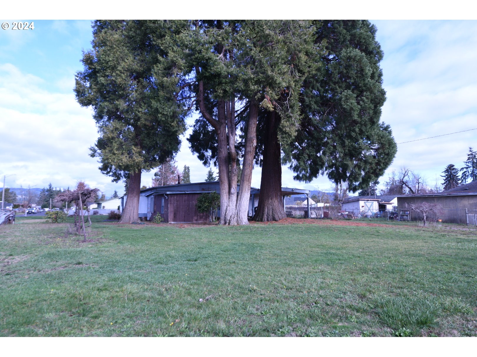 3720 Virginia Avenue Springfield, OR 97478 - Photo 3 of 6