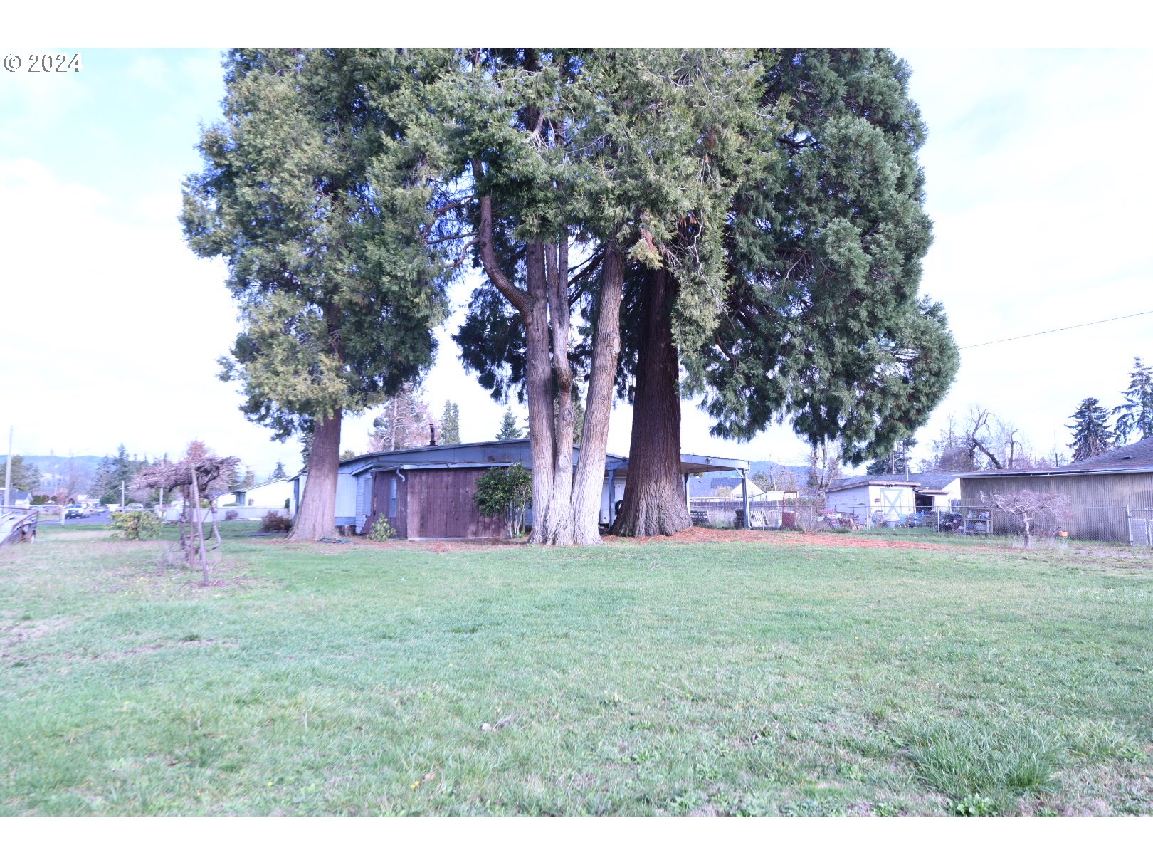 3720 Virginia Avenue Springfield, OR 97478 - Photo 4 of 6 a backyard of a house with lots of green space