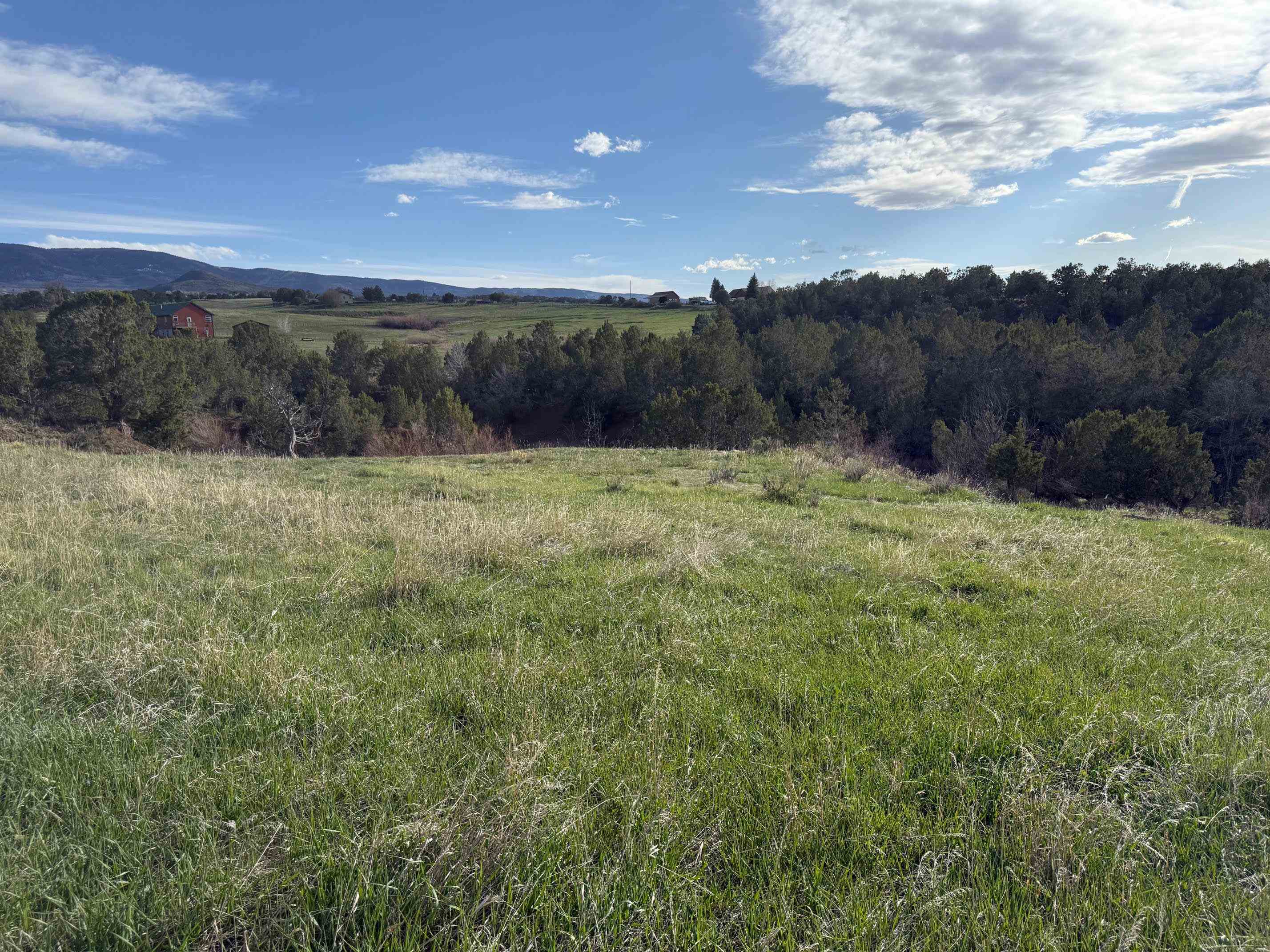 14495 Scott Loop Collbran, CO 81624 - Photo 12 of 12 a view of an outdoor space and a yard