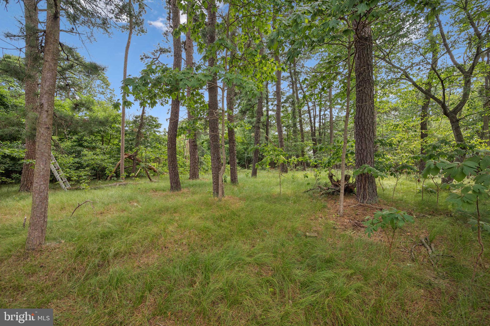 20 Penn Road Voorhees, NJ 08043 - Photo 17 of 20