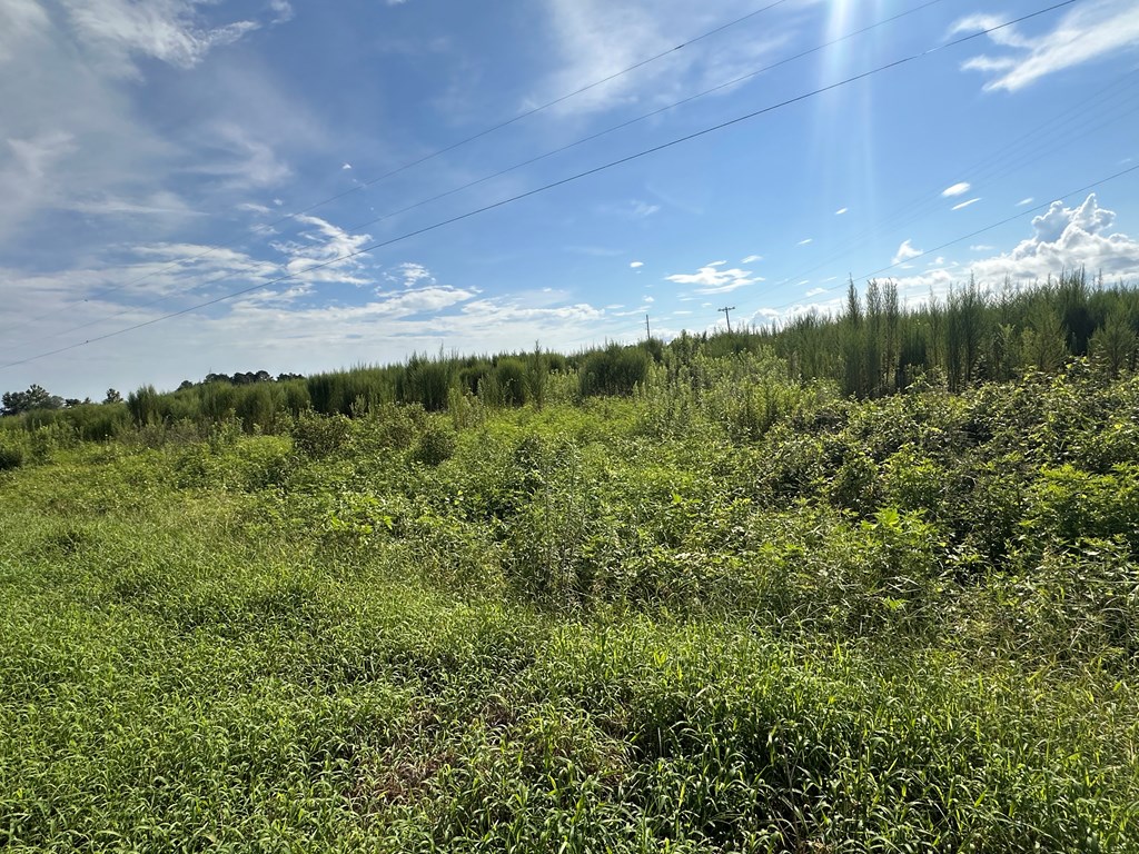3-acres 3-acres Bill Yance Road Dothan, AL 36301 - Photo 6 of 7