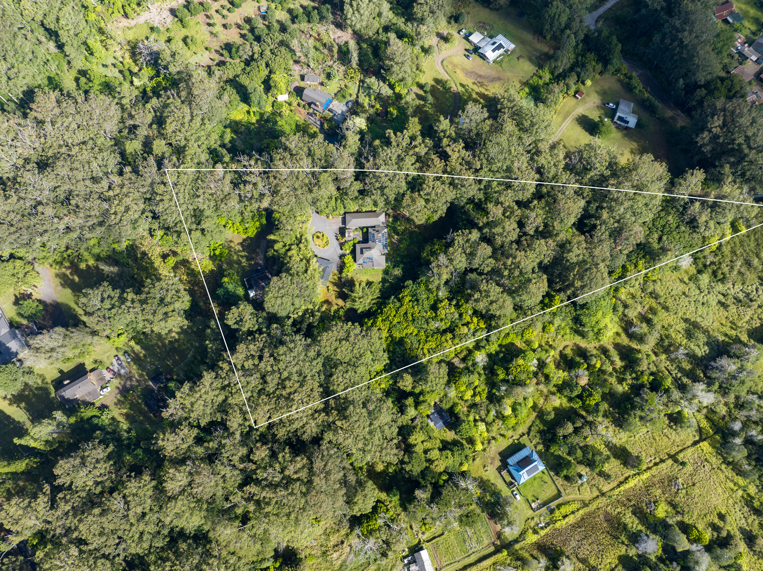 46-4147 Old Mamalahoa Highway, Unit B Honokaa, HI 96727 - Photo 14 of 30 a view of a tree