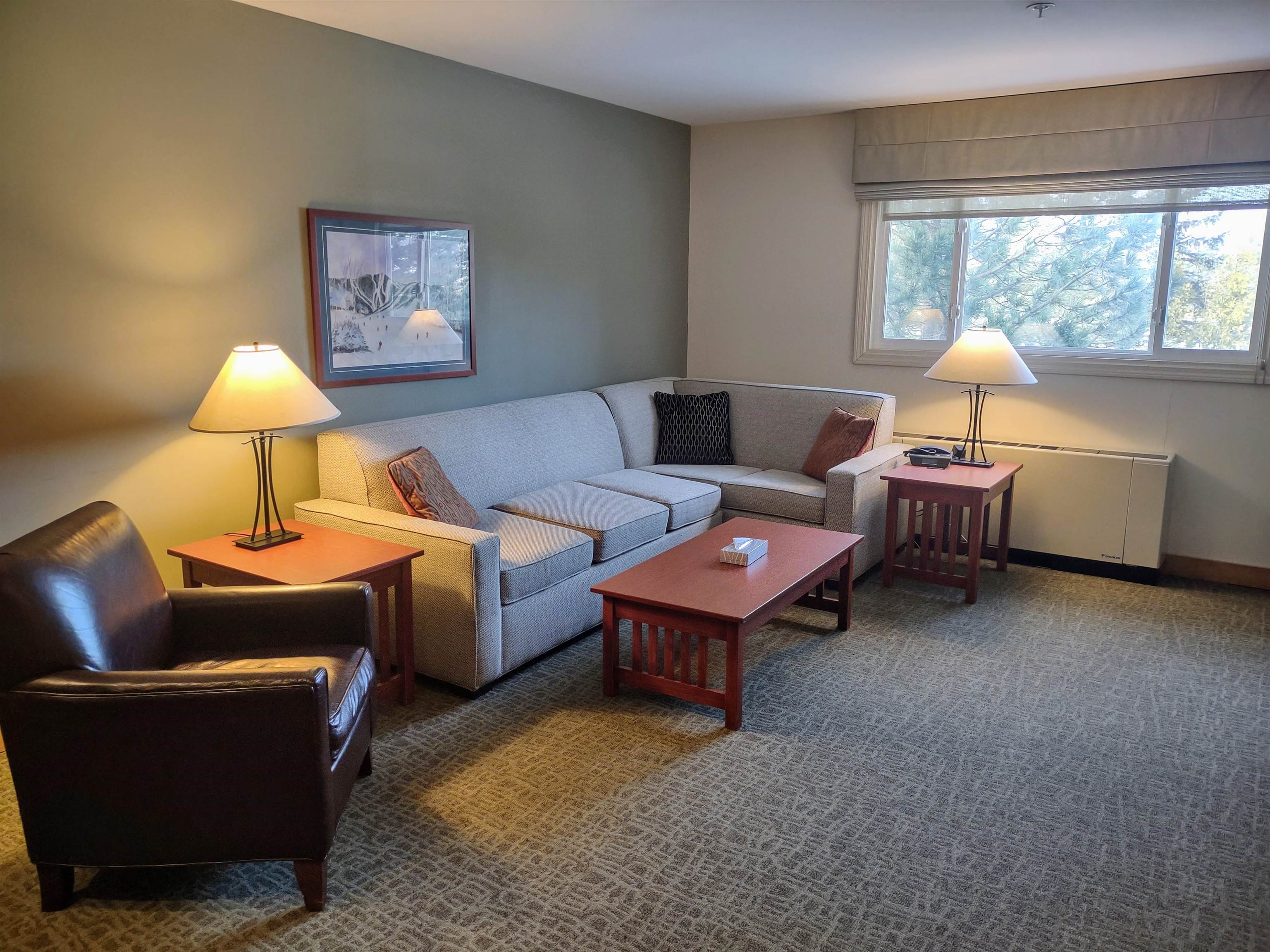 228 East Mountain Road, Unit D GRAND HOTEL 223 I (MORAN) Killington, VT 05751 - Photo 22 of 45