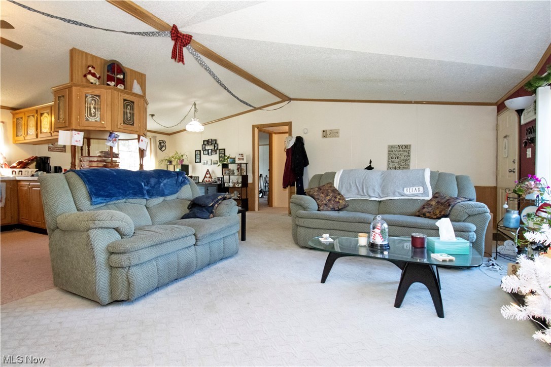 3233 Dover Road Wooster, OH 44691 - Photo 17 of 30 Carpeted living room with ornamental molding and vaulted ceiling