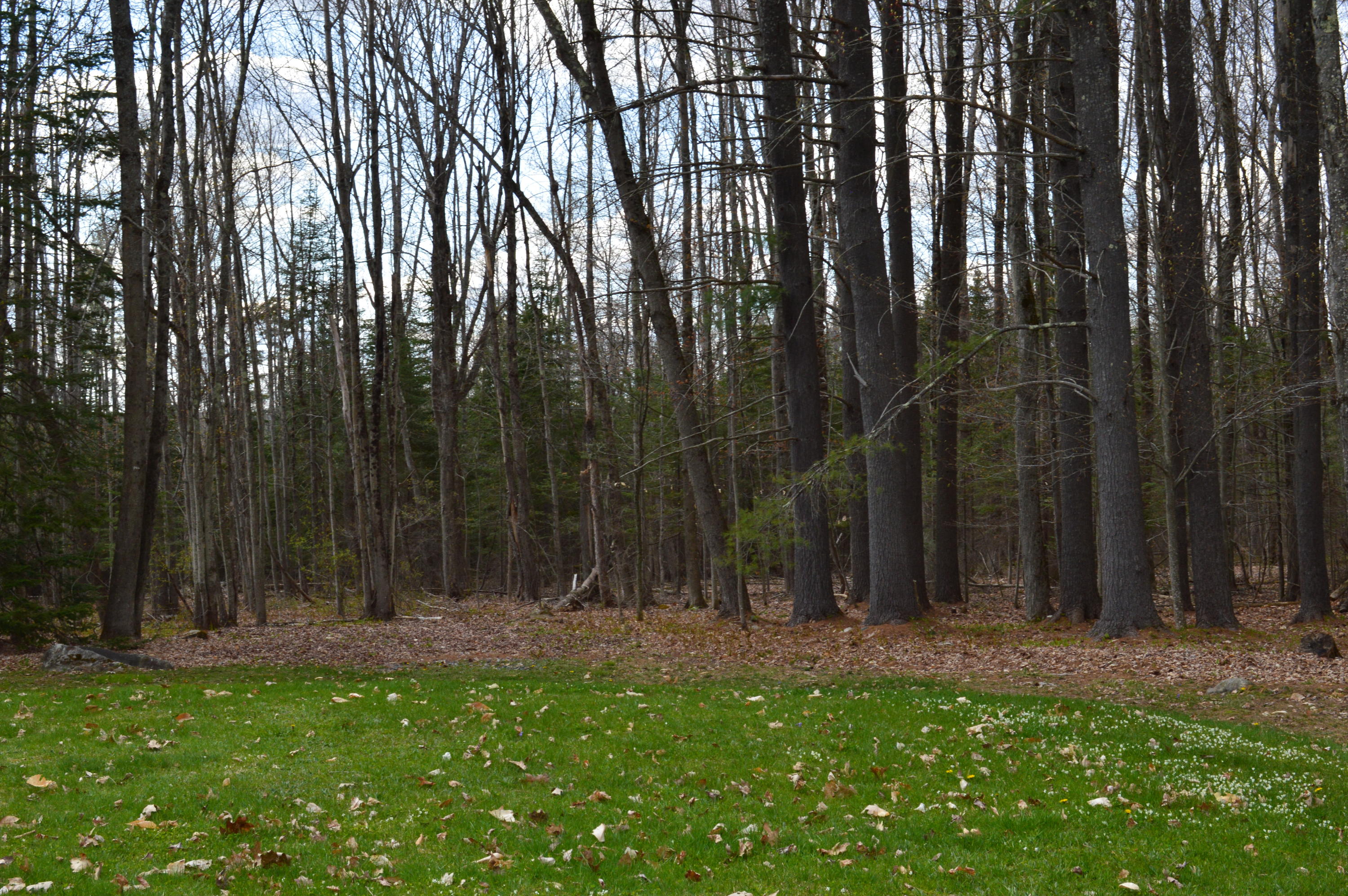 189 Stanley Road Readfield, ME 04355 - Photo 41 of 44 DSC_0202