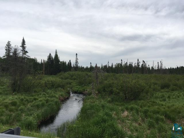 Xxx East General Grade Road Finland, MN 55603 - Photo 6 of 6 Looking past the Baptism River you can see the NW corner of the 260 acres.