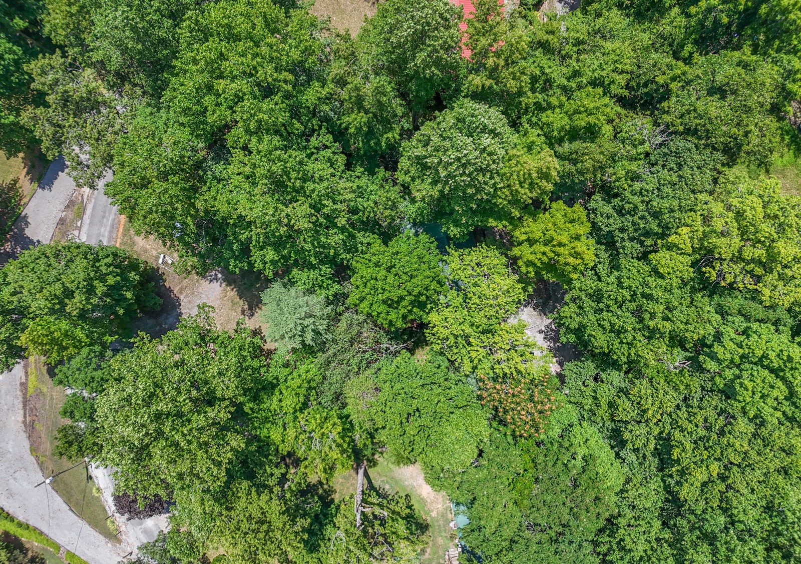 1908 Potts Camp Road Smithville, TN 37166 - Photo 55 of 55