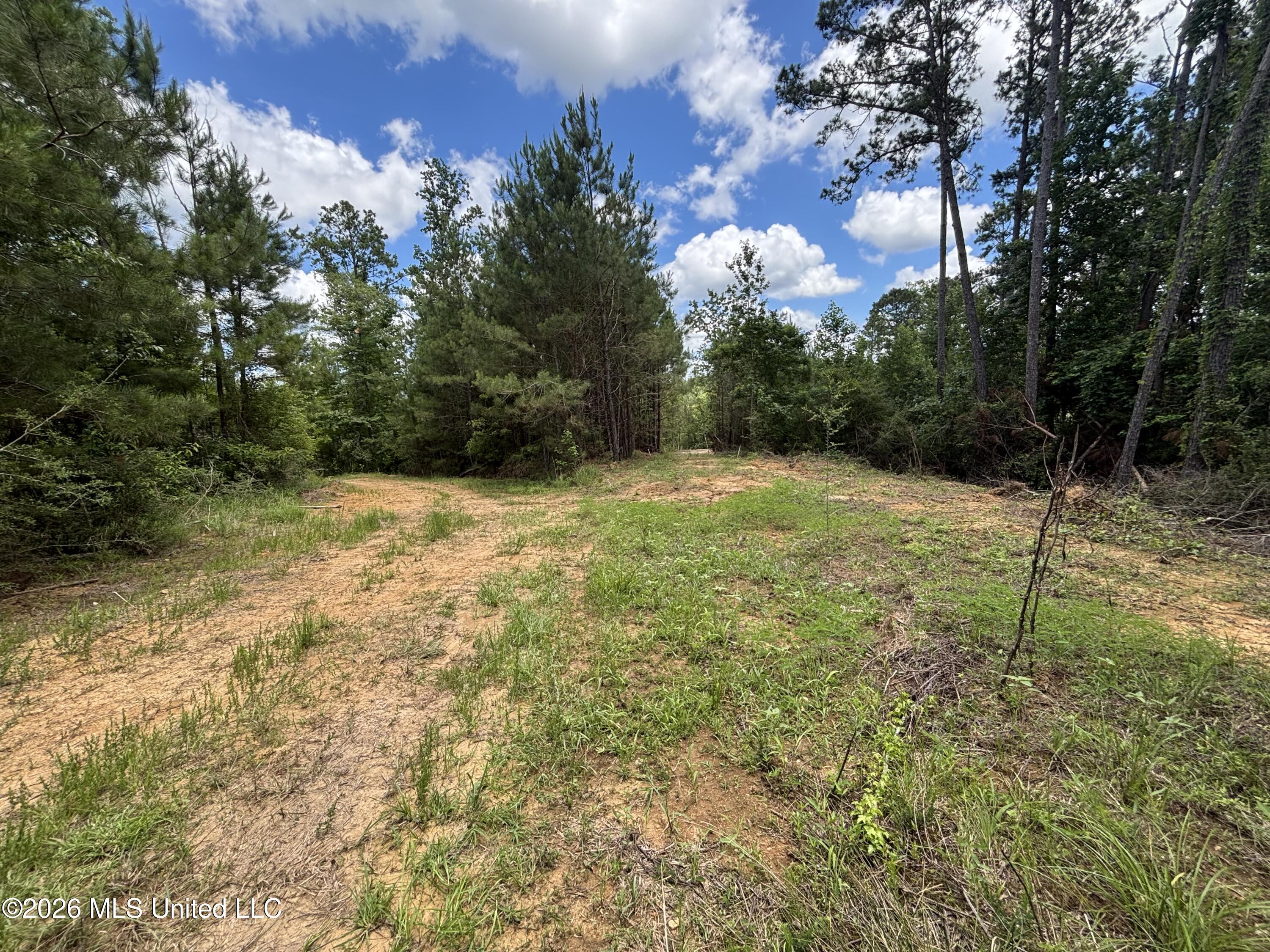 Stump Road Crosby, MS 39633 - Photo 51 of 60 IMG_4399
