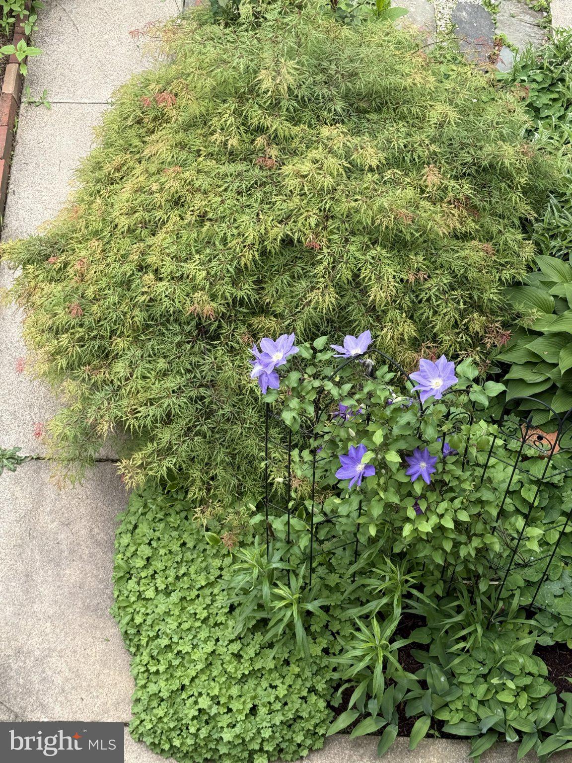 145 East Chestnut Street Lancaster, PA 17602 - Photo 40 of 45