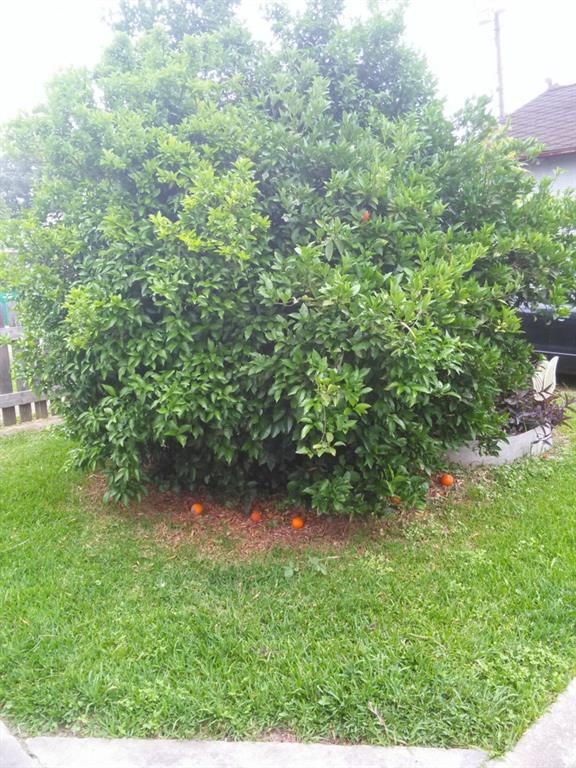 928 Rupp Street Gretna, LA 70053 - Photo 12 of 14