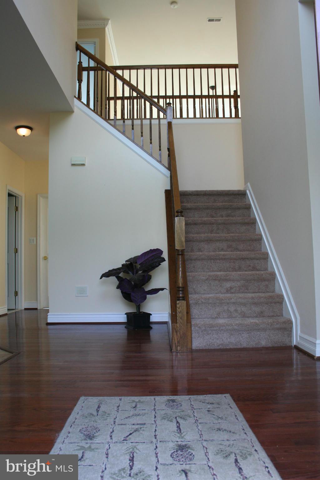 307 Ailsa Drive Rising Sun, MD 21911 - Photo 3 of 30 a view of entryway