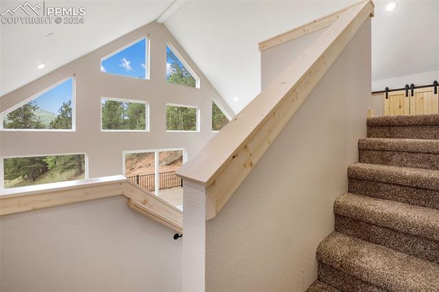 75 Beaver Pond Road Divide, CO 80814 - Photo 16 of 19 Gallery Image 16