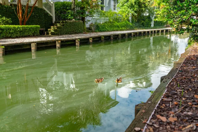 $2,095,000 | 31 John Galt Way, Mount Pleasant, SC 29464