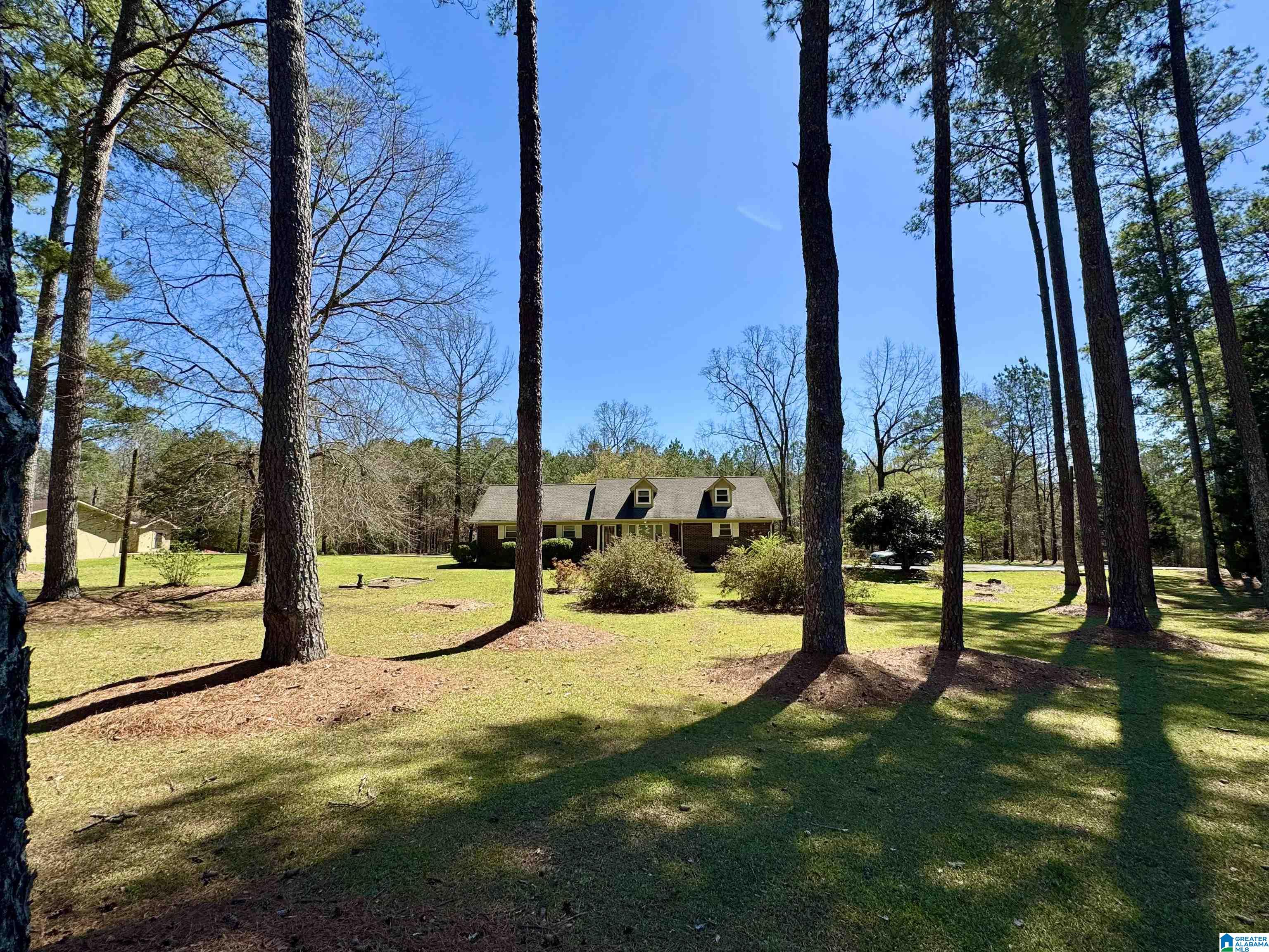 41 Armstrong Loop Hayden, AL 35079 - Photo 3 of 49
