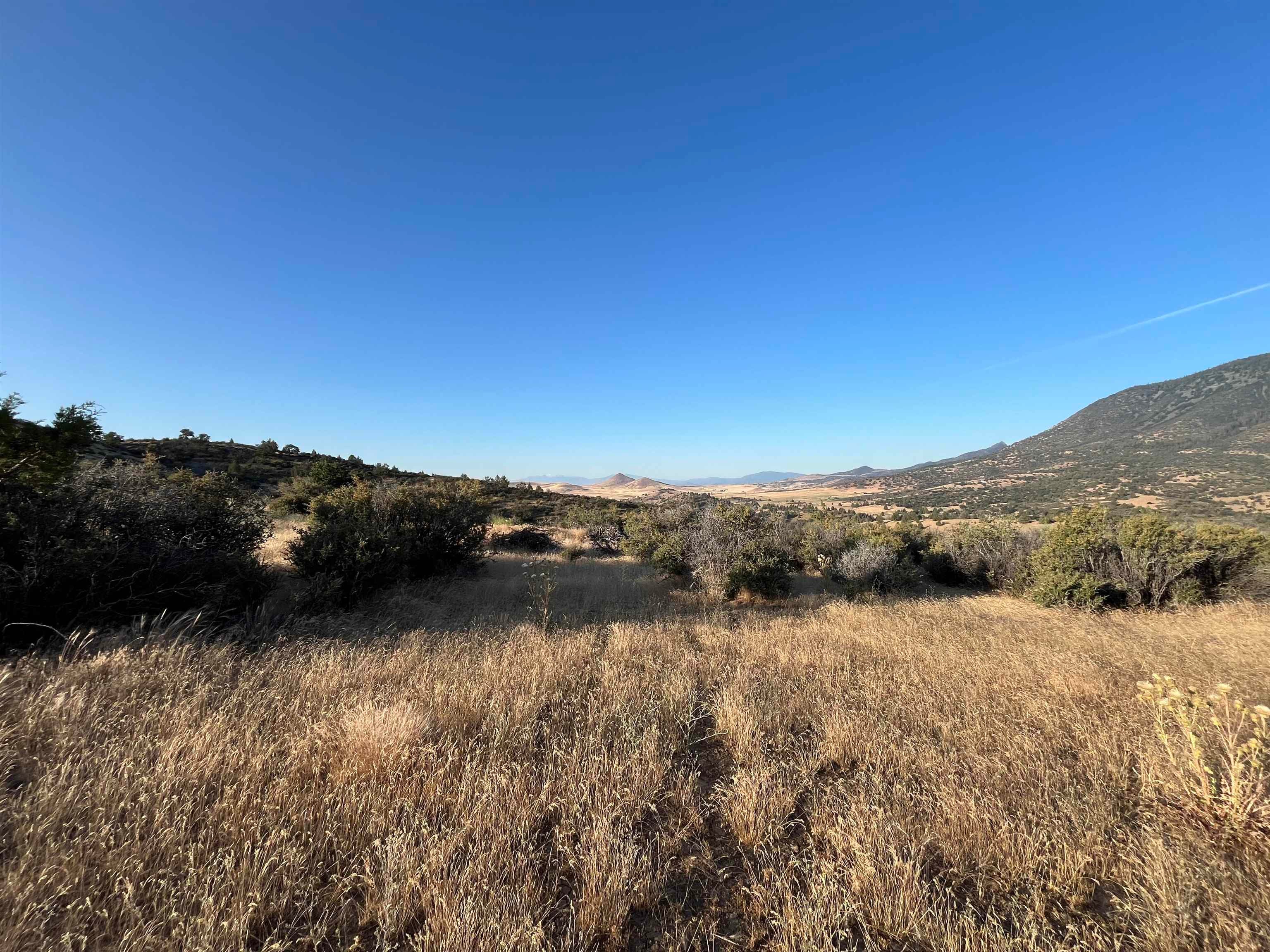 61 Whitepine Road Hornbrook, CA 96044 - Photo 4 of 5 Gallery Image 4