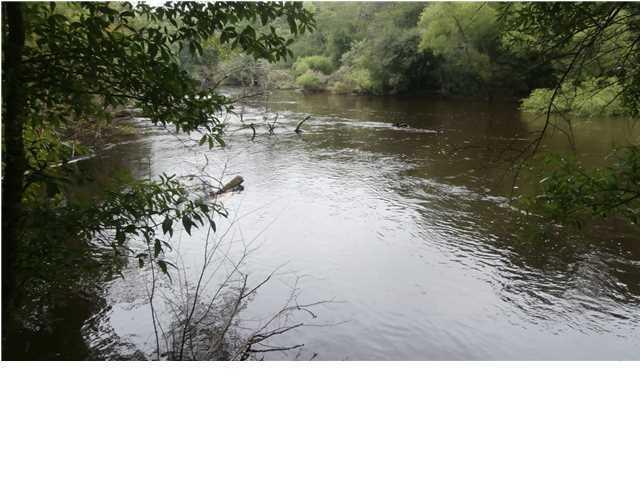 edisto11