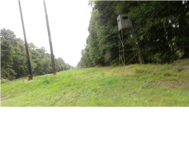 1041 A Edisto River Road Reevesville, SC 29471 - Photo 13 of 19 edisto14