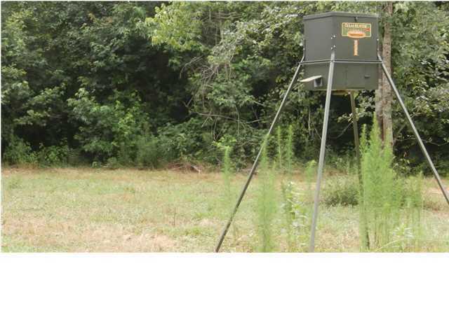 1041 A Edisto River Road Reevesville, SC 29471 - Photo 14 of 19 edisto15