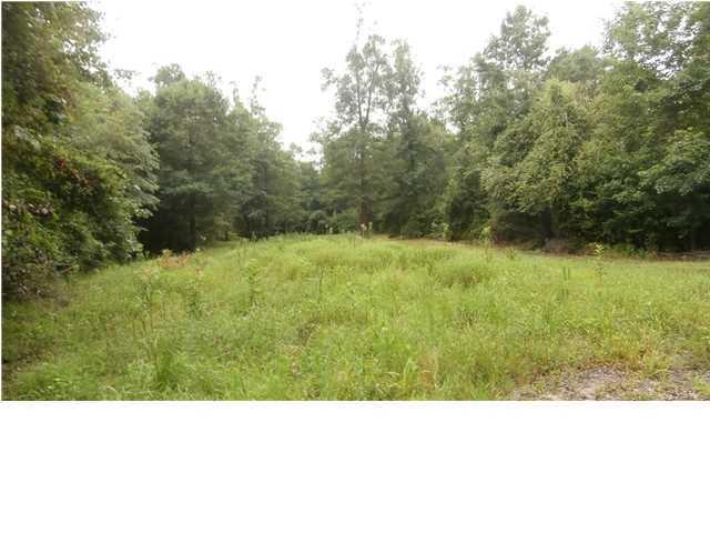 1041 A Edisto River Road Reevesville, SC 29471 - Photo 17 of 19 edisto18