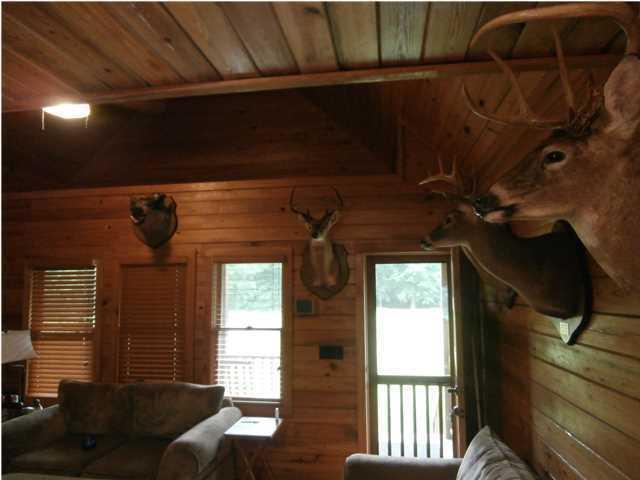 1041 A Edisto River Road Reevesville, SC 29471 - Photo 8 of 19 EDISTO4