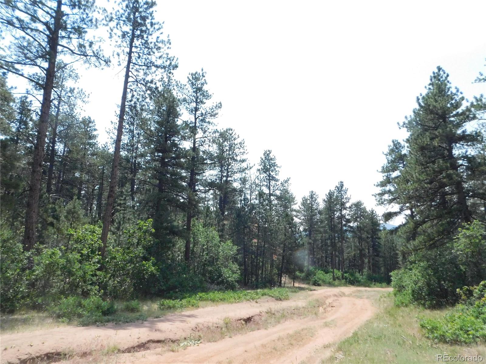 8356 Quivas Road Larkspur, CO 80118 - Photo 7 of 44