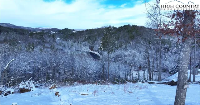 a view of a backyard of the house