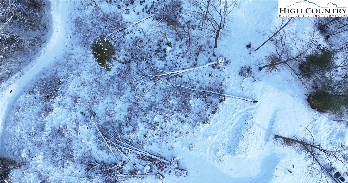 56 Autumn Leaf Way Crumpler, NC 28617 - Photo 14 of 44 a view of a dry yard with trees