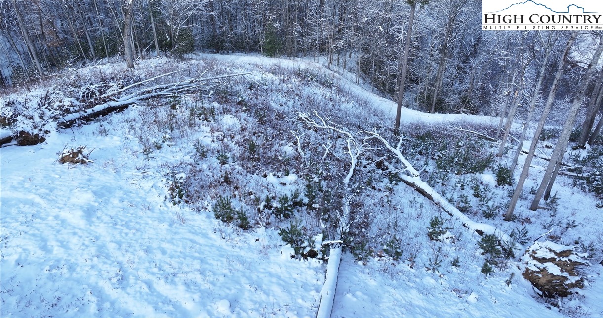56 Autumn Leaf Way Crumpler, NC 28617 - Photo 16 of 44 a view of a dry yard with wooden fence