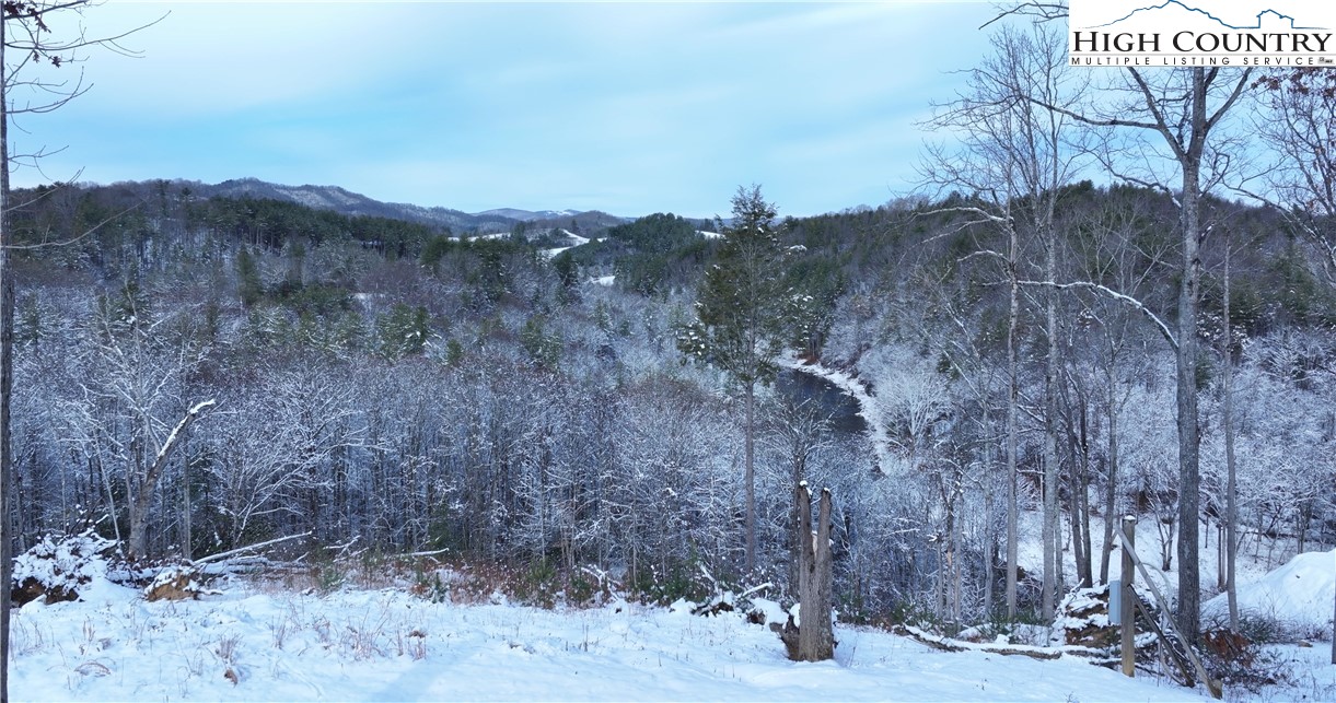 56 Autumn Leaf Way Crumpler, NC 28617 - Photo 17 of 44 a view of a dry yard with trees