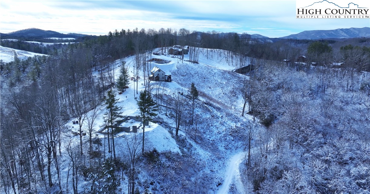 56 Autumn Leaf Way Crumpler, NC 28617 - Photo 26 of 44 a view of a dry yard with trees and bushes