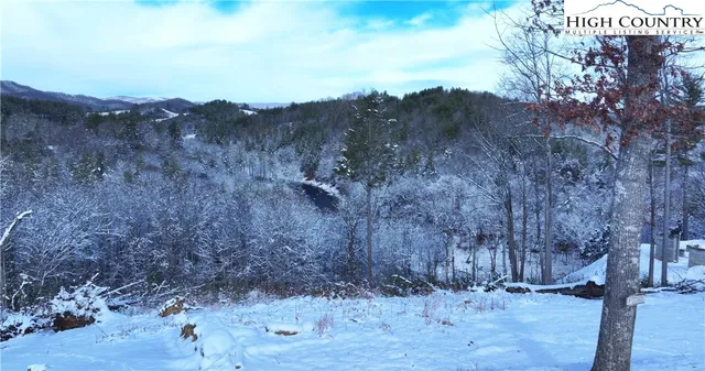 $1,575,000 | 56 Autumn Leaf Way, Crumpler, NC 28617