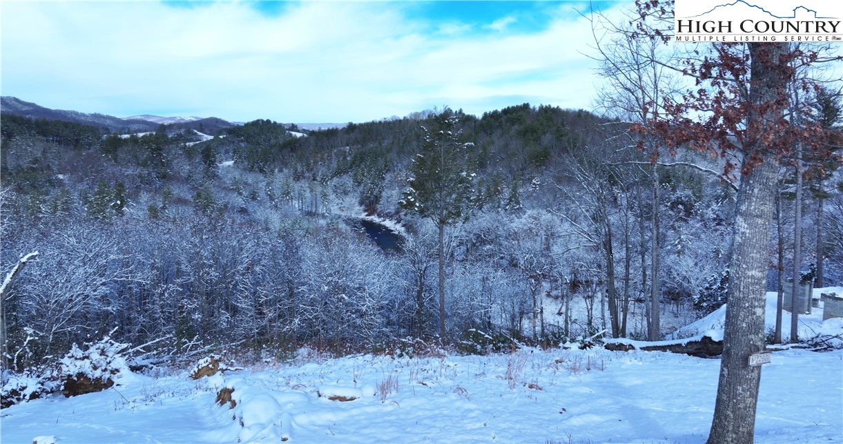 56 Autumn Leaf Way Crumpler, NC 28617 - Photo 34 of 44