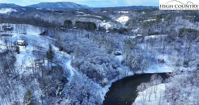 a view of a backyard with trees