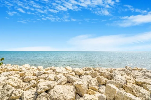 an aerial view of residential house with outdoor space