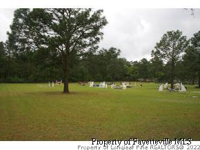 2467 Youngs Road Southern Pines, NC 28387 - Photo 2 of 12 a view of outdoor space and yard