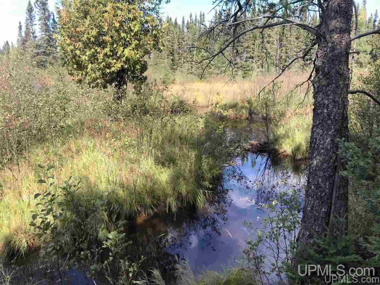10296 Flat Rock Road Ishpeming, MI 49849 - Photo 21 of 39