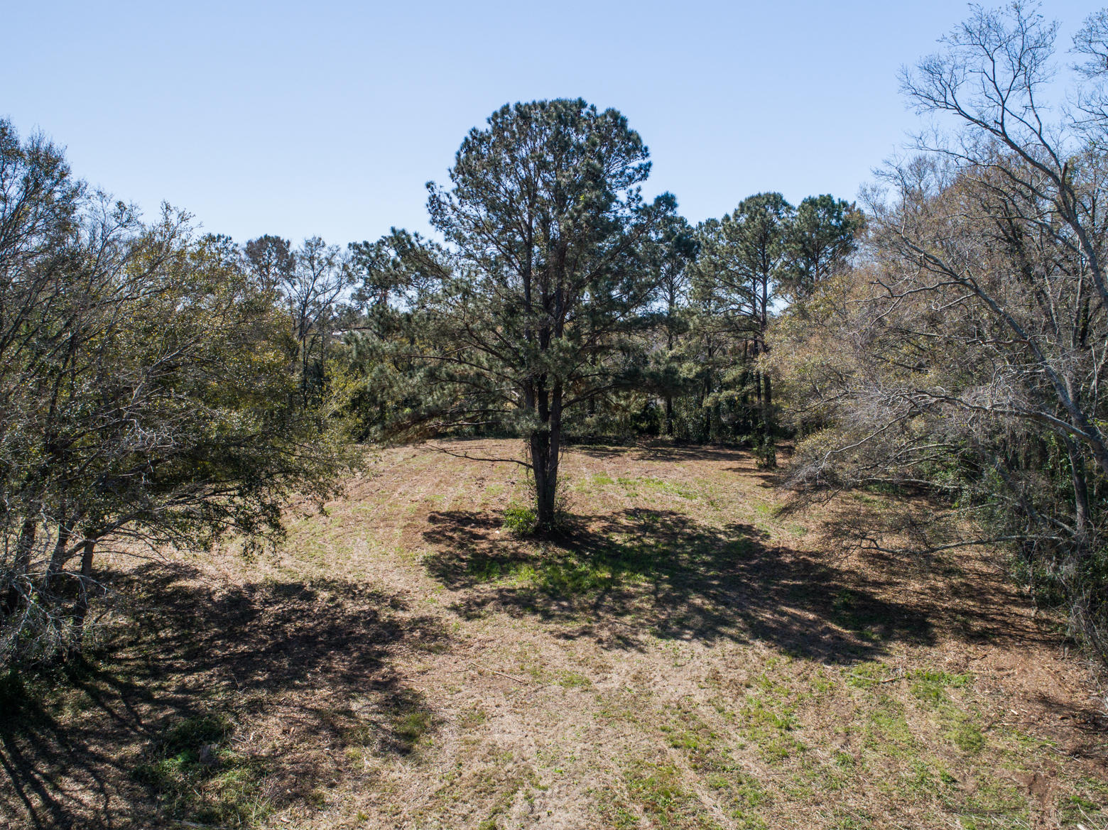 940 Joe Rivers Road Charleston, SC 29412 - Photo 40 of 49 JoeRivers-108