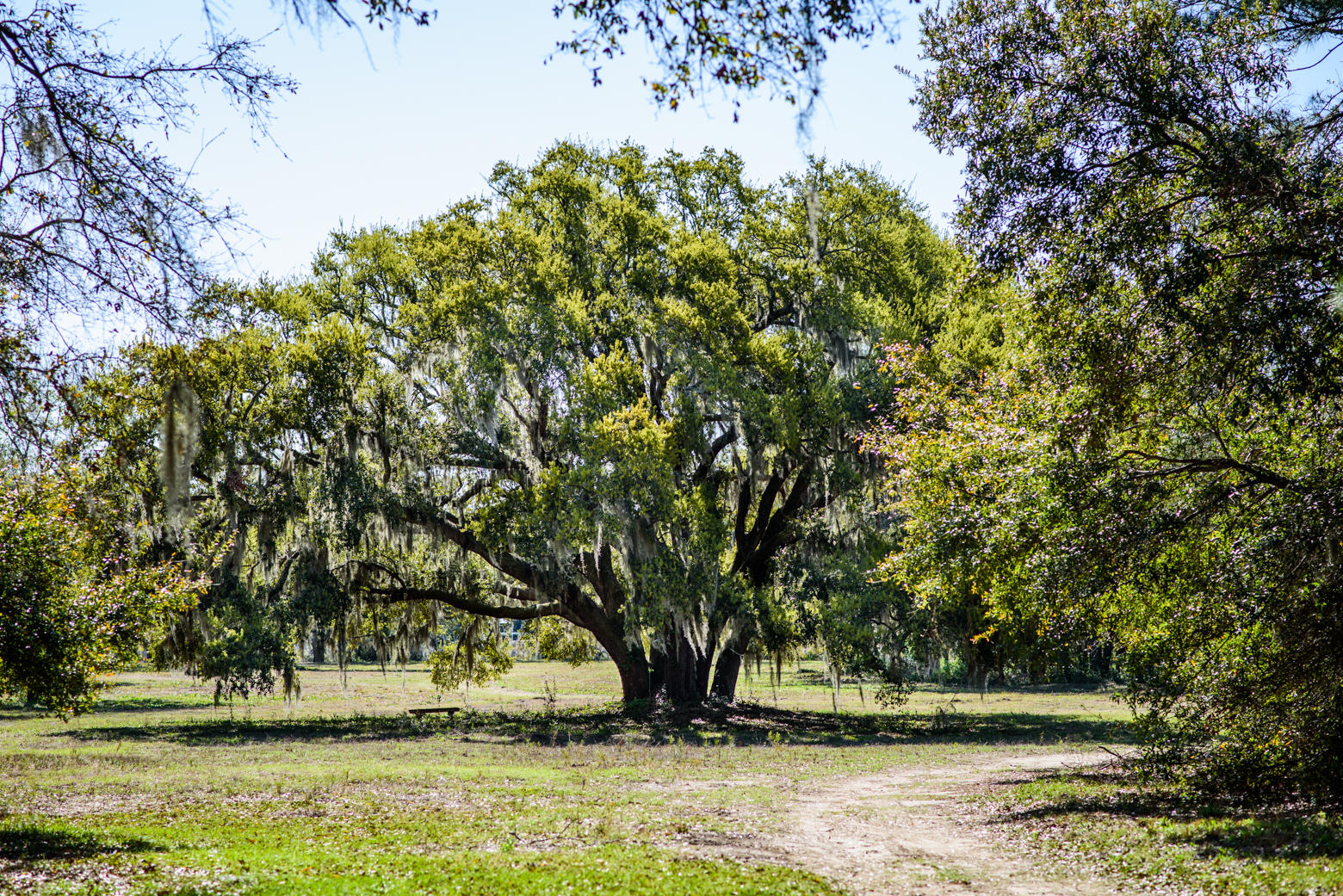 940 Joe Rivers Road Charleston, SC 29412 - Photo 8 of 49 JoeRivers-7
