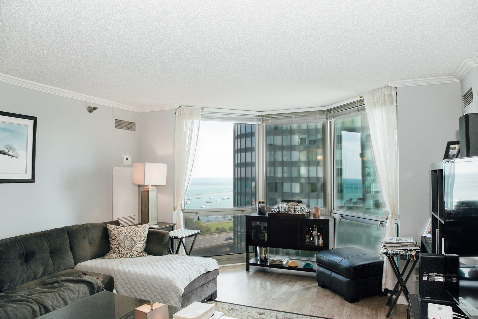 195 North Harbor Drive, Unit 905 Chicago, IL 60601 - Photo 2 of 19 a living room with furniture and a flat screen tv