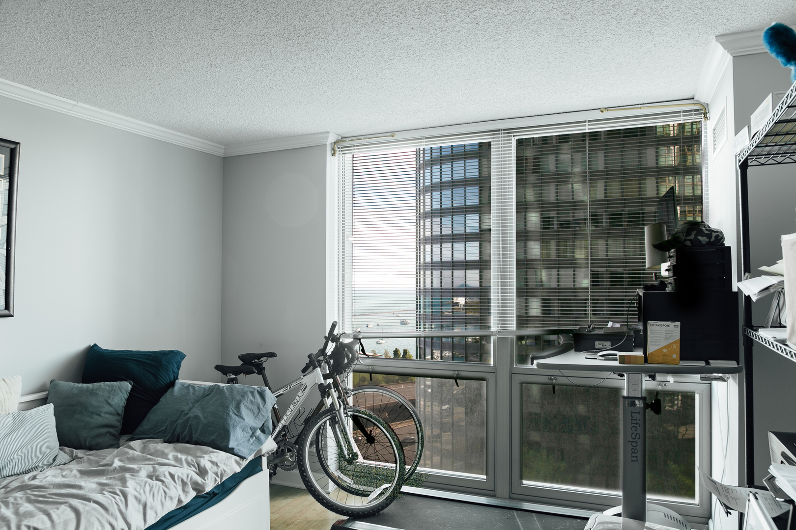 195 North Harbor Drive, Unit 905 Chicago, IL 60601 - Photo 3 of 19 a livingroom with furniture and a window