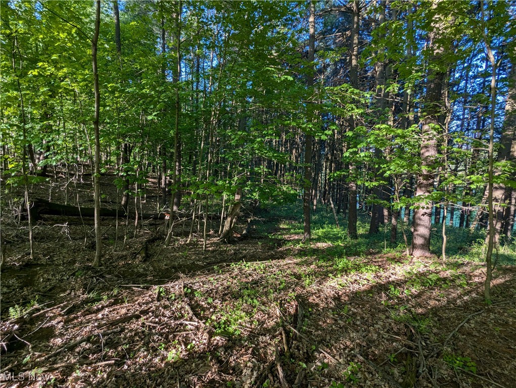 5216 Arrow Road Northwest Minerva, OH 44657 - Photo 10 of 43 Gallery Image 10