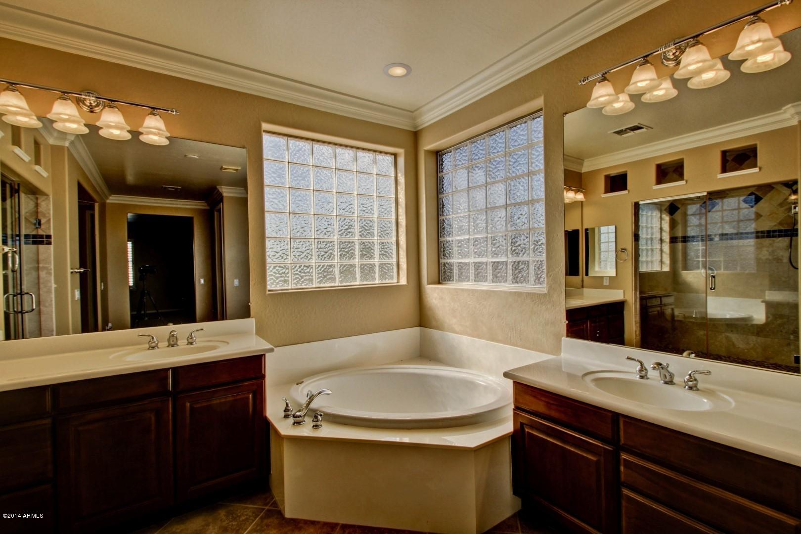 311 East Frances Lane Gilbert, AZ 85295 - Photo 15 of 43 Master Bath b