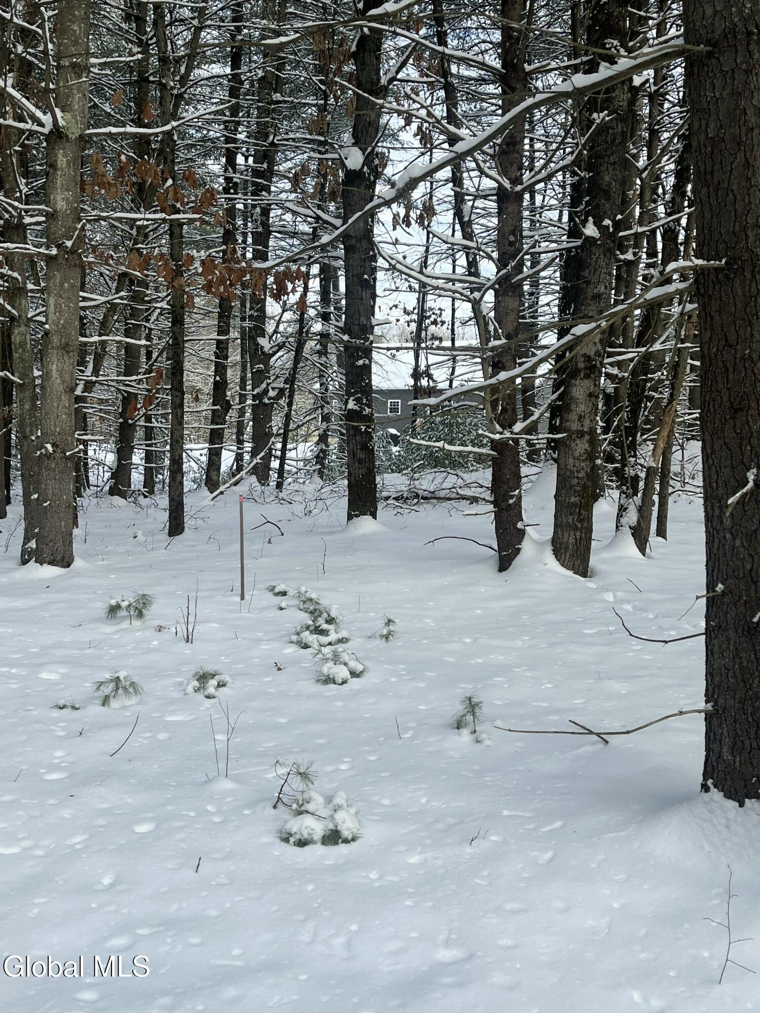 27.11 King Road Saratoga Springs, NY 12866 - Photo 11 of 13 IMG_9935