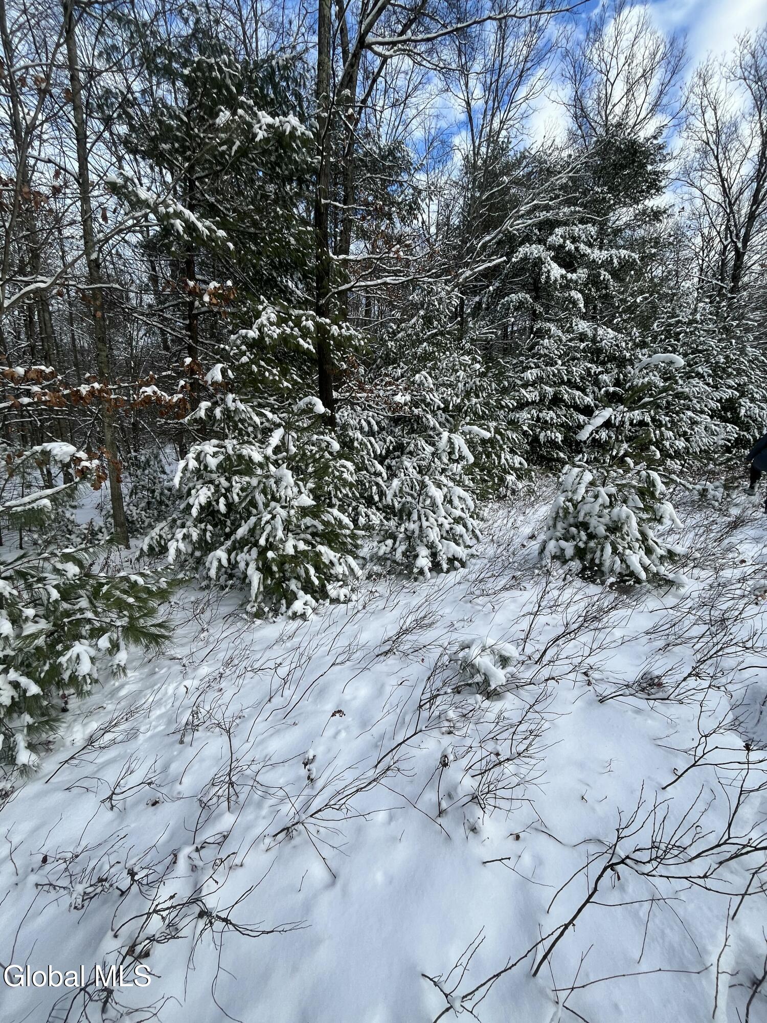 27.11 King Road Saratoga Springs, NY 12866 - Photo 10 of 13 IMG_9937