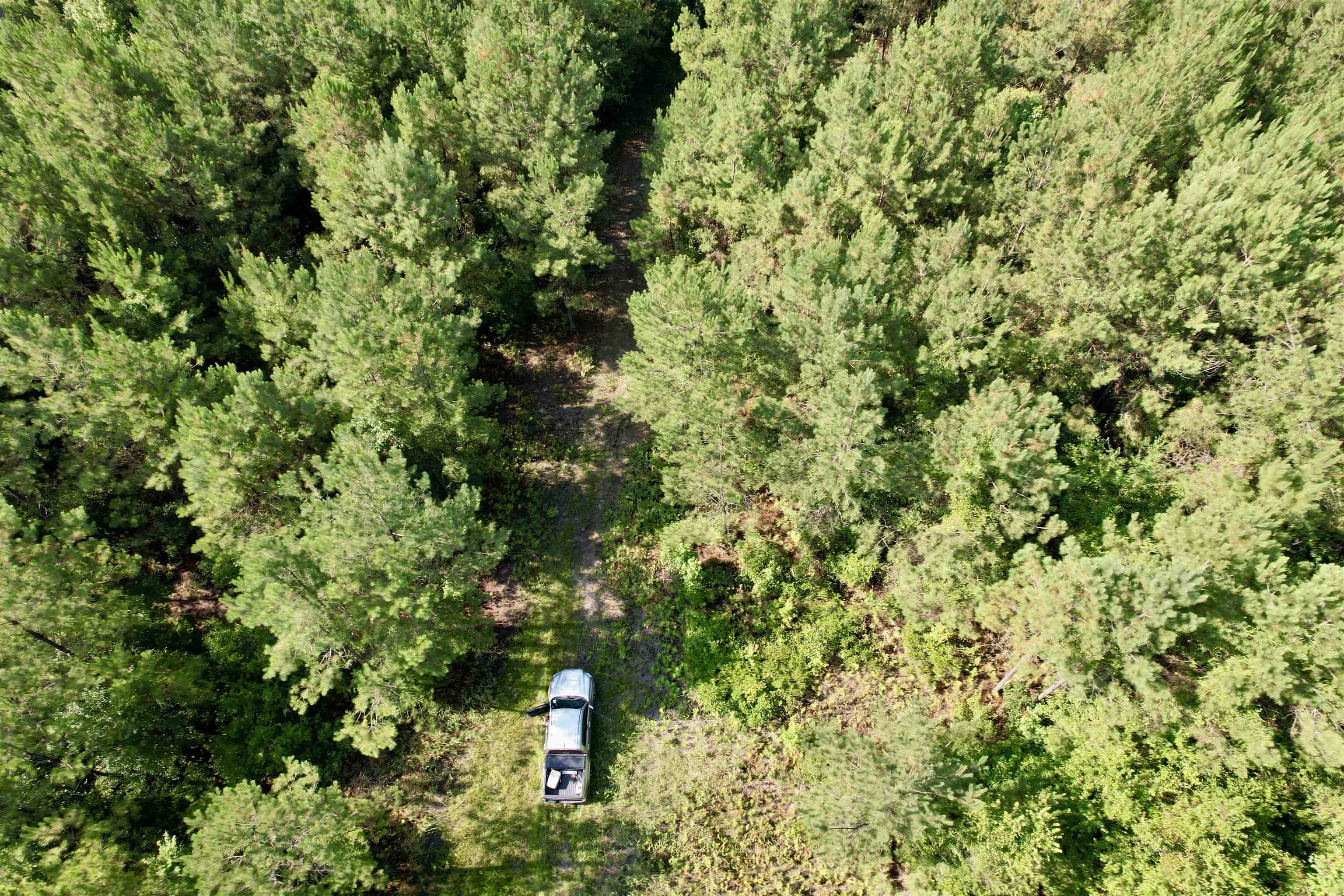 101.49-acres - Epps Road New Zion, SC 29111 - Photo 11 of 24