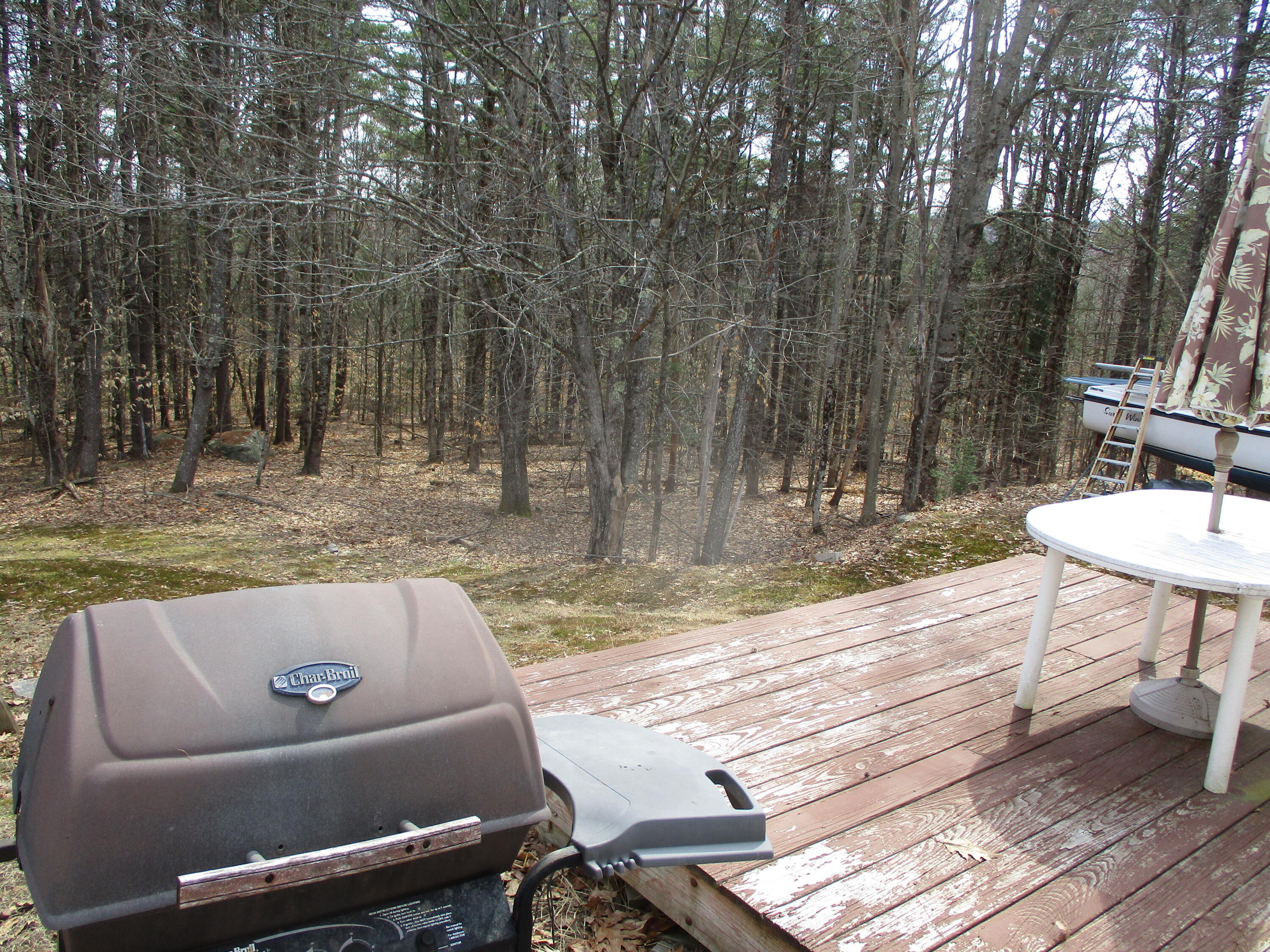 159 Burnham Road Bridgton, ME 04009 - Photo 6 of 25 Back Yard